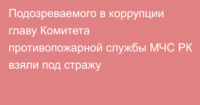 Подозреваемого в коррупции главу Комитета противопожарной службы МЧС РК взяли под стражу