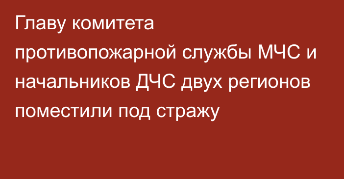 Главу комитета противопожарной службы МЧС и начальников ДЧС двух регионов поместили под стражу 