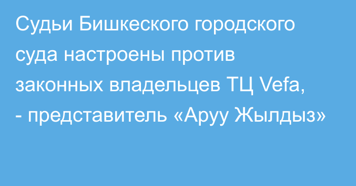 Судьи Бишкеского городского суда настроены против законных владельцев ТЦ Vefa, -  представитель «Аруу Жылдыз»