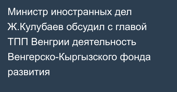 Министр иностранных дел Ж.Кулубаев обсудил с главой ТПП Венгрии деятельность Венгерско-Кыргызского фонда развития