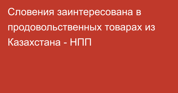 Cловения заинтересована в продовольственных товарах из Казахстана - НПП