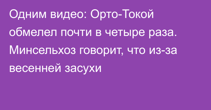 Одним видео: Орто-Токой обмелел почти в четыре раза. Минсельхоз говорит, что из-за весенней засухи