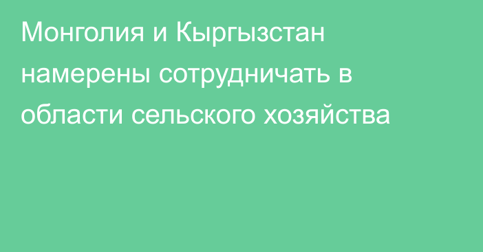 Монголия и Кыргызстан намерены сотрудничать в области сельского хозяйства