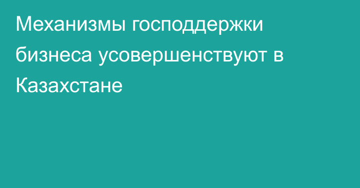 Механизмы господдержки бизнеса усовершенствуют в Казахстане