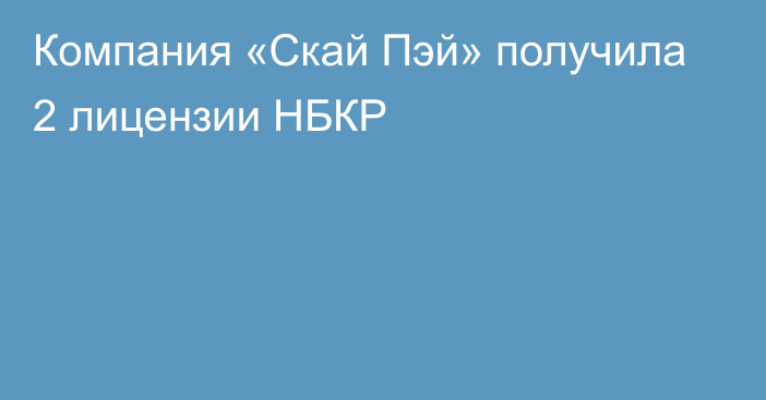 Компания «Скай Пэй» получила 2  лицензии НБКР