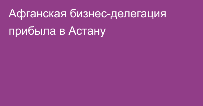 Афганская бизнес-делегация прибыла в Астану