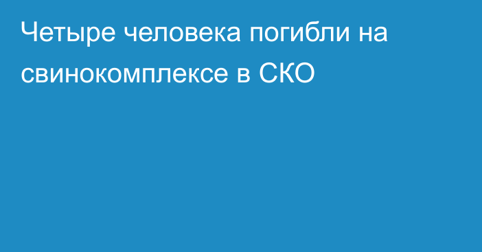 Четыре человека погибли на свинокомплексе в СКО