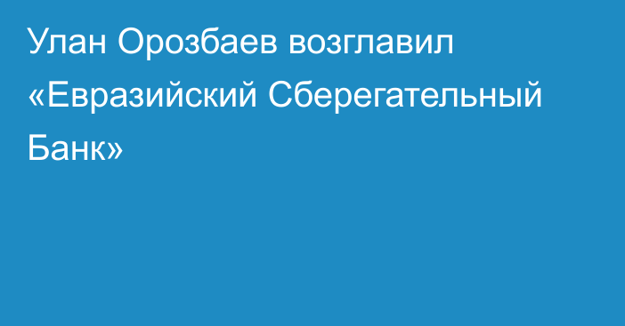 Улан Орозбаев возглавил «Евразийский Сберегательный Банк»