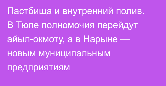 Пастбища и внутренний полив. В Тюпе полномочия перейдут айыл-окмоту, а в Нарыне — новым муниципальным предприятиям