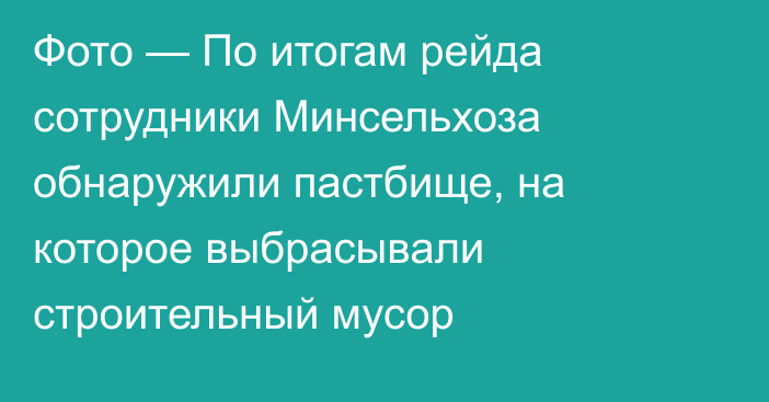 Фото — По итогам рейда сотрудники Минсельхоза обнаружили пастбище, на которое выбрасывали строительный мусор