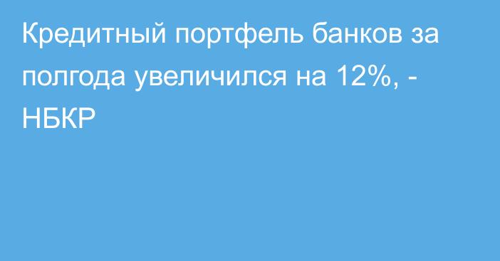 Кредитный портфель банков за полгода увеличился на 12%, - НБКР