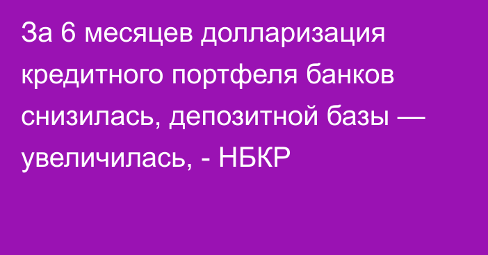 За 6 месяцев долларизация кредитного портфеля банков снизилась, депозитной базы — увеличилась, - НБКР