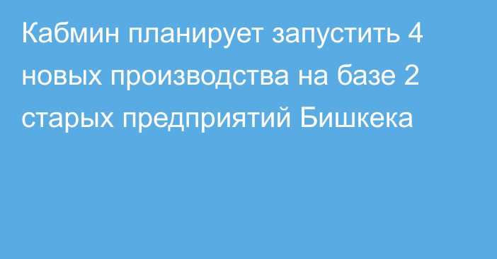 Кабмин планирует запустить 4 новых производства на базе 2 старых предприятий Бишкека