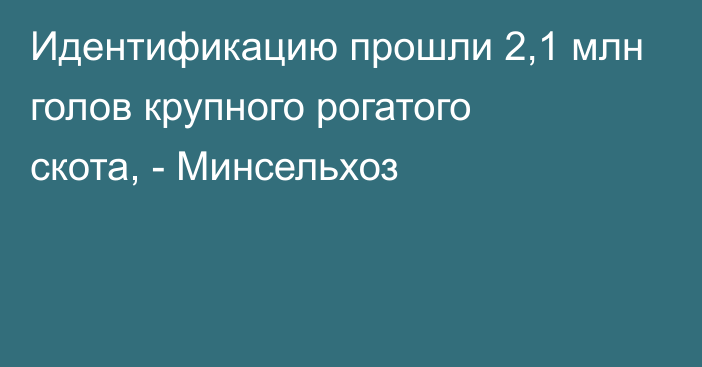 Идентификацию прошли 2,1 млн голов крупного рогатого скота, - Минсельхоз