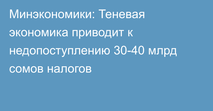 Минэкономики: Теневая экономика приводит к недопоступлению 30-40 млрд сомов налогов