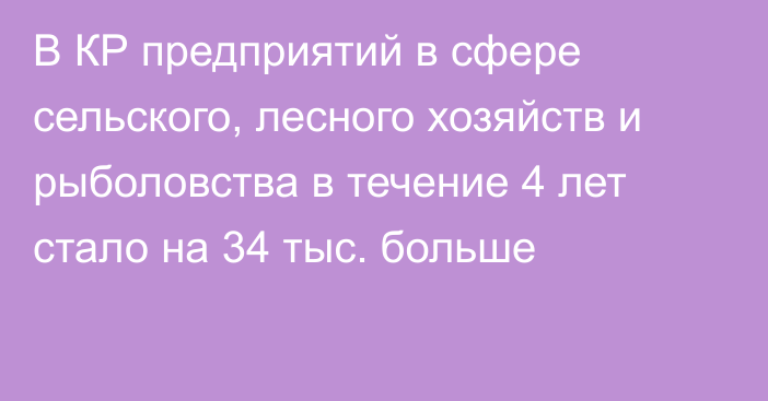 В КР предприятий в сфере сельского, лесного хозяйств и рыболовства в течение 4 лет стало на 34 тыс. больше