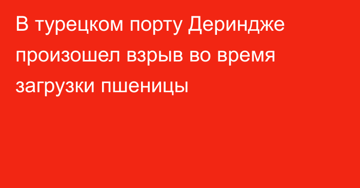 В турецком порту Дериндже произошел взрыв во время загрузки пшеницы