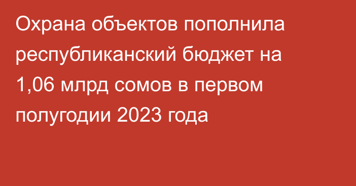 Охрана объектов пополнила республиканский бюджет на 1,06 млрд сомов в первом полугодии 2023 года