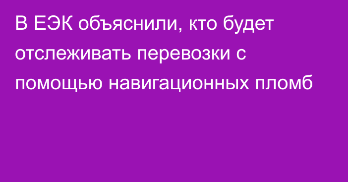 В ЕЭК объяснили, кто будет отслеживать перевозки с помощью навигационных пломб