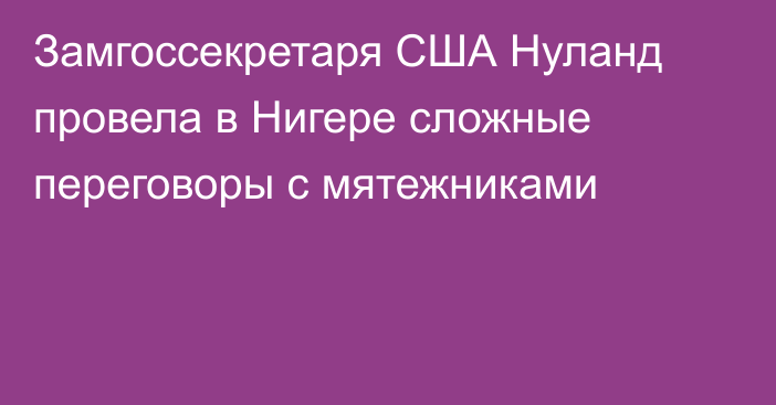 Замгоссекретаря США Нуланд провела в Нигере сложные переговоры с мятежниками