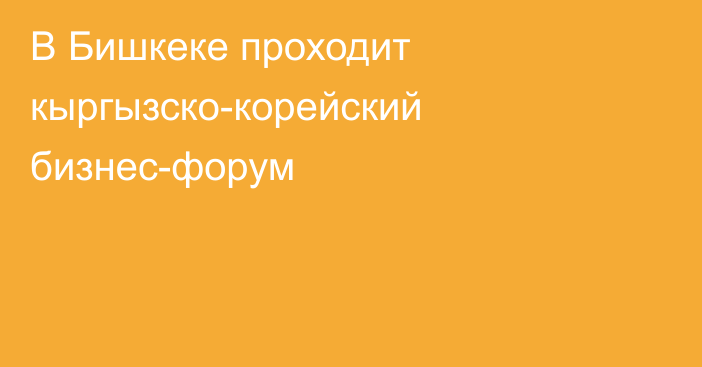 В Бишкеке проходит кыргызско-корейский бизнес-форум