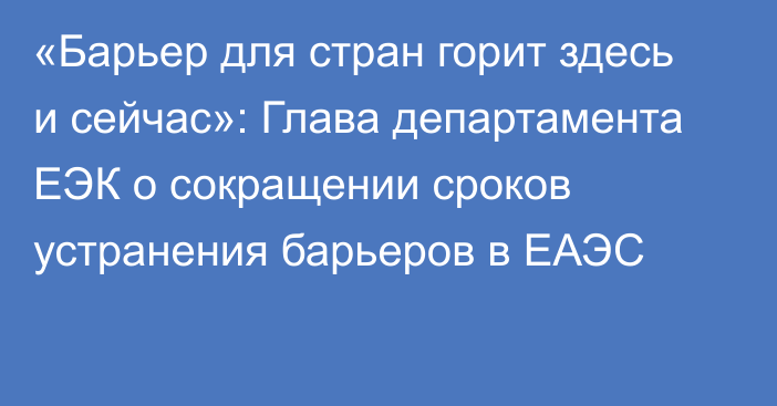 «Барьер для стран горит здесь и сейчас»: Глава департамента ЕЭК о сокращении сроков устранения барьеров в ЕАЭС