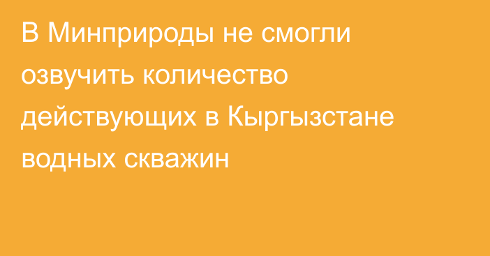 В Минприроды не смогли озвучить количество действующих в Кыргызстане водных скважин