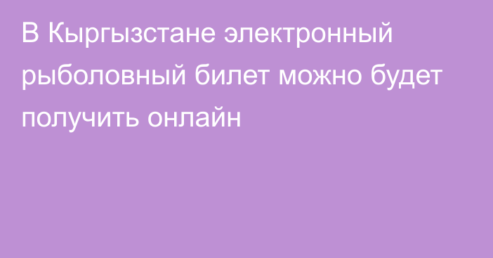 В Кыргызстане электронный рыболовный билет можно будет получить онлайн