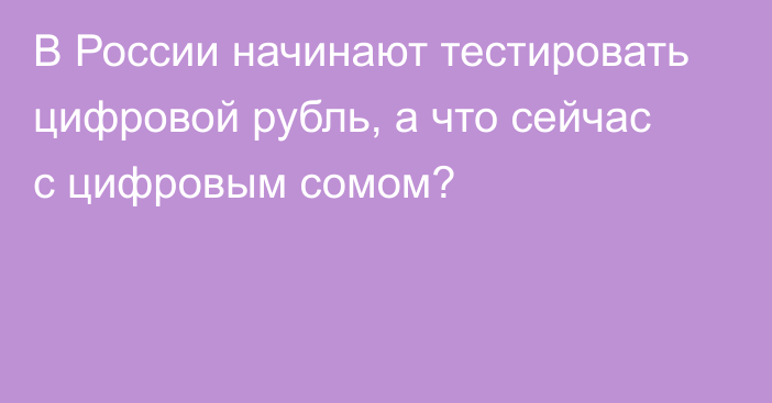 В России начинают тестировать цифровой рубль, а что сейчас с цифровым сомом?