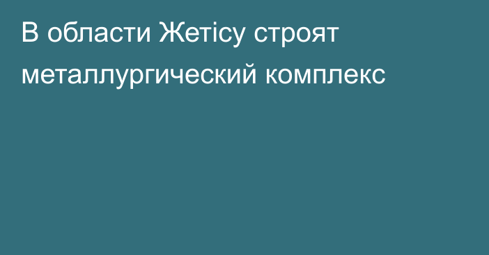 В области Жетісу строят металлургический комплекс