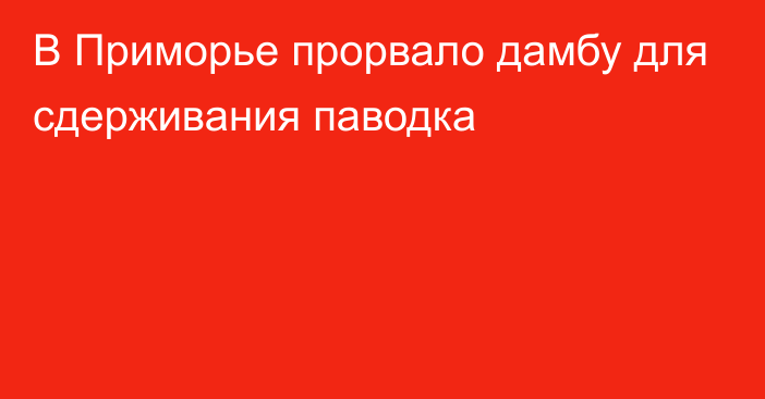 В Приморье прорвало дамбу для сдерживания паводка