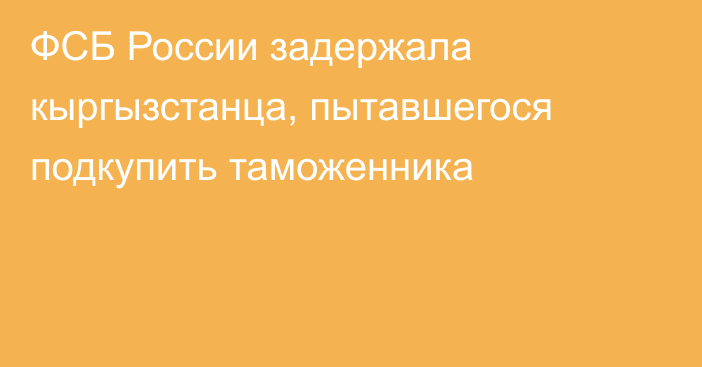 ФСБ России задержала кыргызстанца, пытавшегося подкупить таможенника