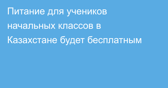 Питание для учеников начальных классов в Казахстане будет бесплатным