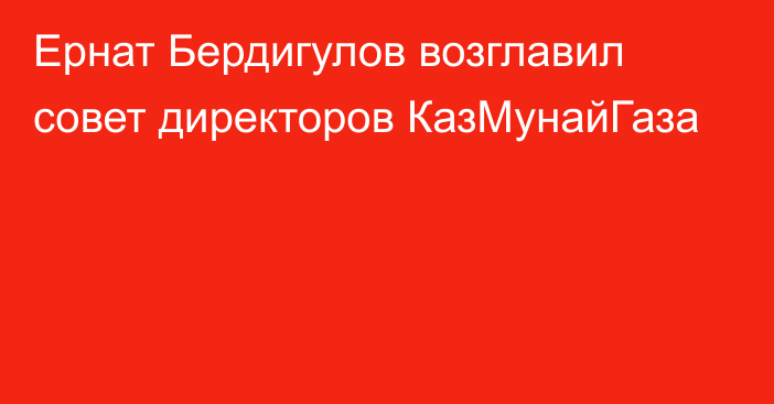 Ернат Бердигулов возглавил совет директоров КазМунайГаза