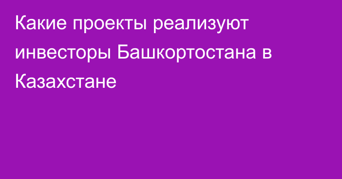 Какие проекты реализуют инвесторы Башкортостана в Казахстане