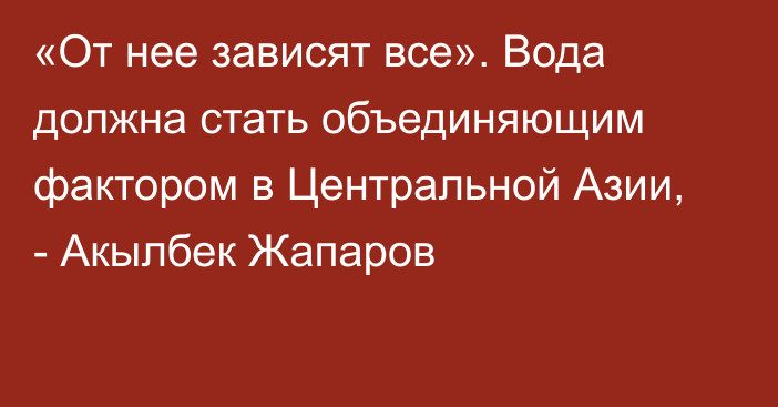 «От нее зависят все». Вода должна стать объединяющим фактором в Центральной Азии, - Акылбек Жапаров