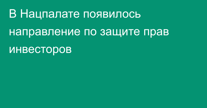 В Нацпалате появилось направление по защите прав инвесторов