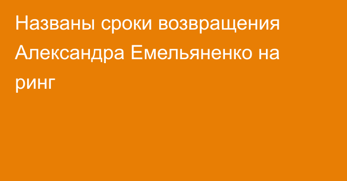 Названы сроки возвращения Александра Емельяненко на ринг