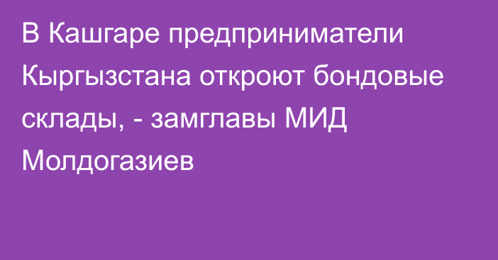 В Кашгаре предприниматели Кыргызстана откроют бондовые склады, - замглавы МИД   Молдогазиев