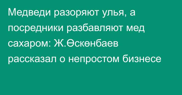 Медведи разоряют улья, а посредники разбавляют мед сахаром: Ж.Өскөнбаев рассказал о непростом бизнесе