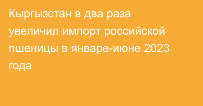 Кыргызстан в два раза увеличил импорт российской пшеницы в январе-июне 2023 года