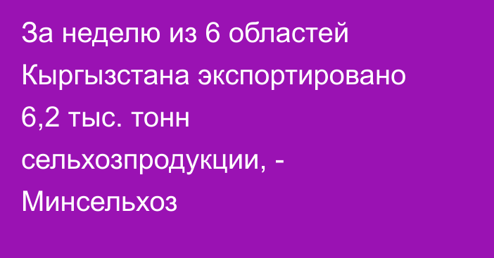 За неделю из 6 областей Кыргызстана экспортировано 6,2 тыс. тонн сельхозпродукции, - Минсельхоз