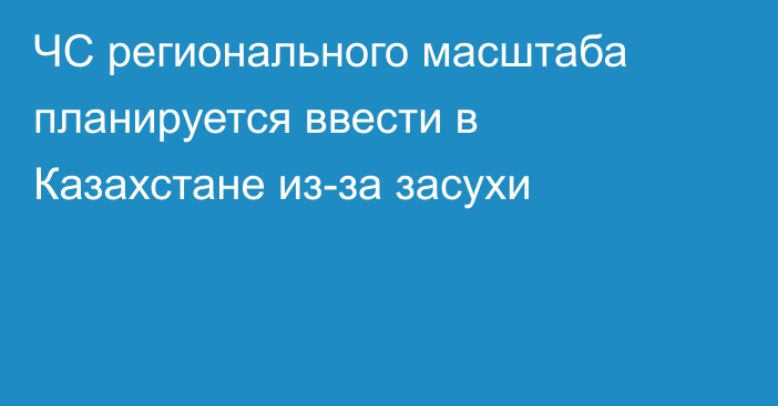 ЧС регионального масштаба планируется ввести в Казахстане из-за засухи