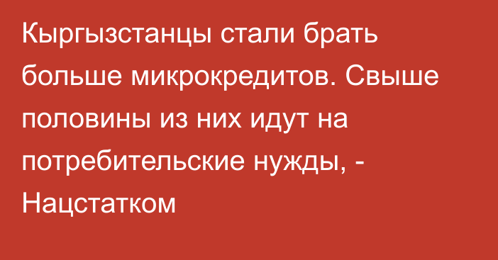 Кыргызстанцы стали брать больше микрокредитов. Свыше половины из них идут на потребительские нужды, - Нацстатком