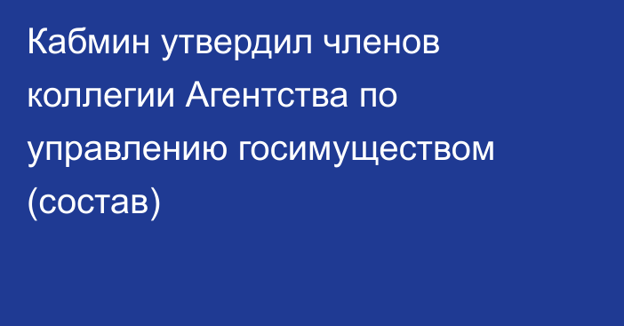 Кабмин утвердил членов коллегии Агентства по управлению госимуществом (состав)