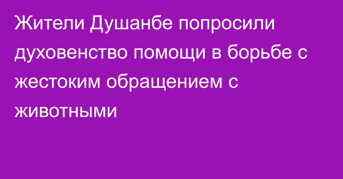 Жители Душанбе попросили духовенство помощи в борьбе с жестоким обращением с животными