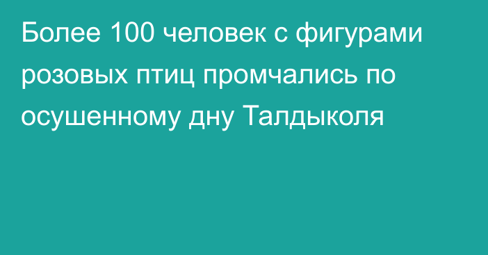 Более 100 человек с фигурами розовых птиц промчались по осушенному дну Талдыколя