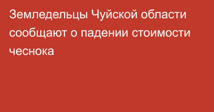 Земледельцы Чуйской области сообщают о падении стоимости чеснока