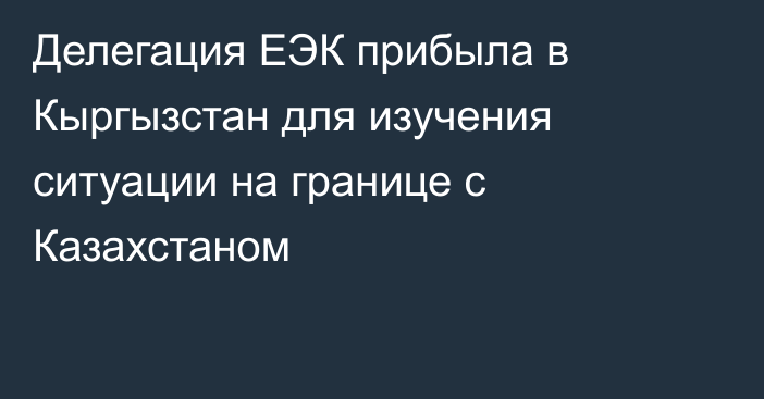 Делегация ЕЭК прибыла в Кыргызстан для изучения ситуации на границе с Казахстаном