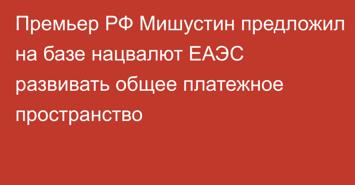 Премьер РФ Мишустин предложил на базе нацвалют ЕАЭС развивать общее платежное пространство